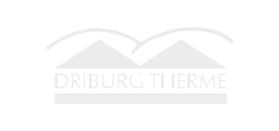 Therme Bad Driburg 